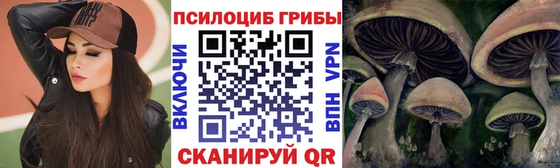 Купить закладки  Салаир  Галлюциногенные грибы Cubensis 